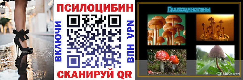 продажа наркотиков  Новосокольники  Галлюциногенные грибы мицелий 