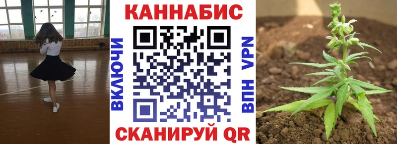 Канабис Ganja  Новосокольники 